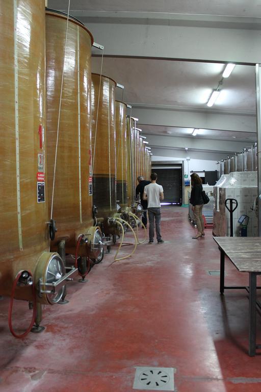Agriturismo Le Casette Castelvetro di Modena Luaran gambar