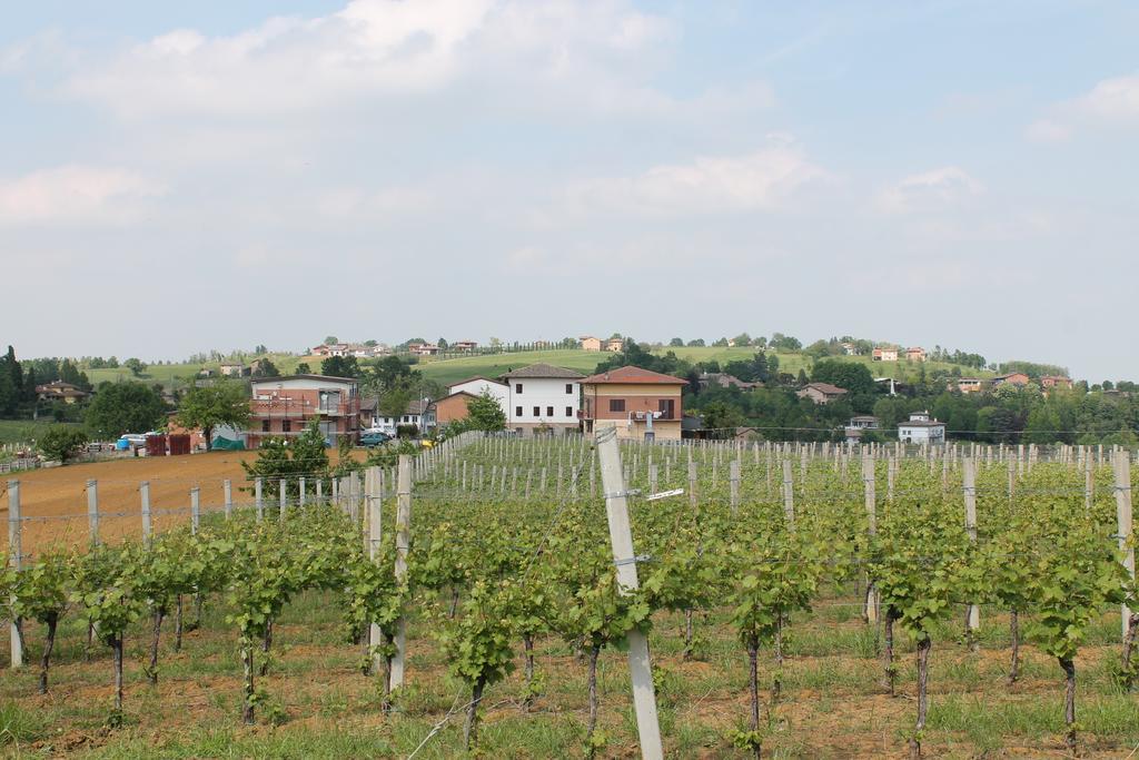 Agriturismo Le Casette Castelvetro di Modena Luaran gambar
