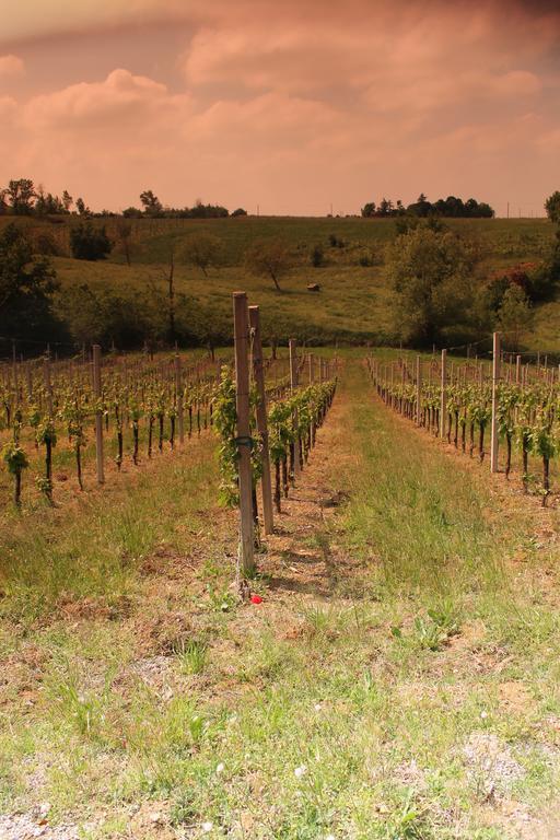 Agriturismo Le Casette Castelvetro di Modena Luaran gambar