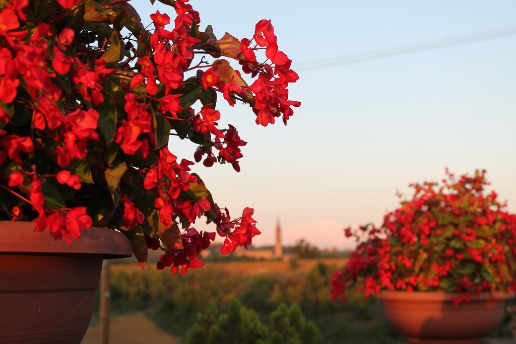 Agriturismo Le Casette Castelvetro di Modena Luaran gambar