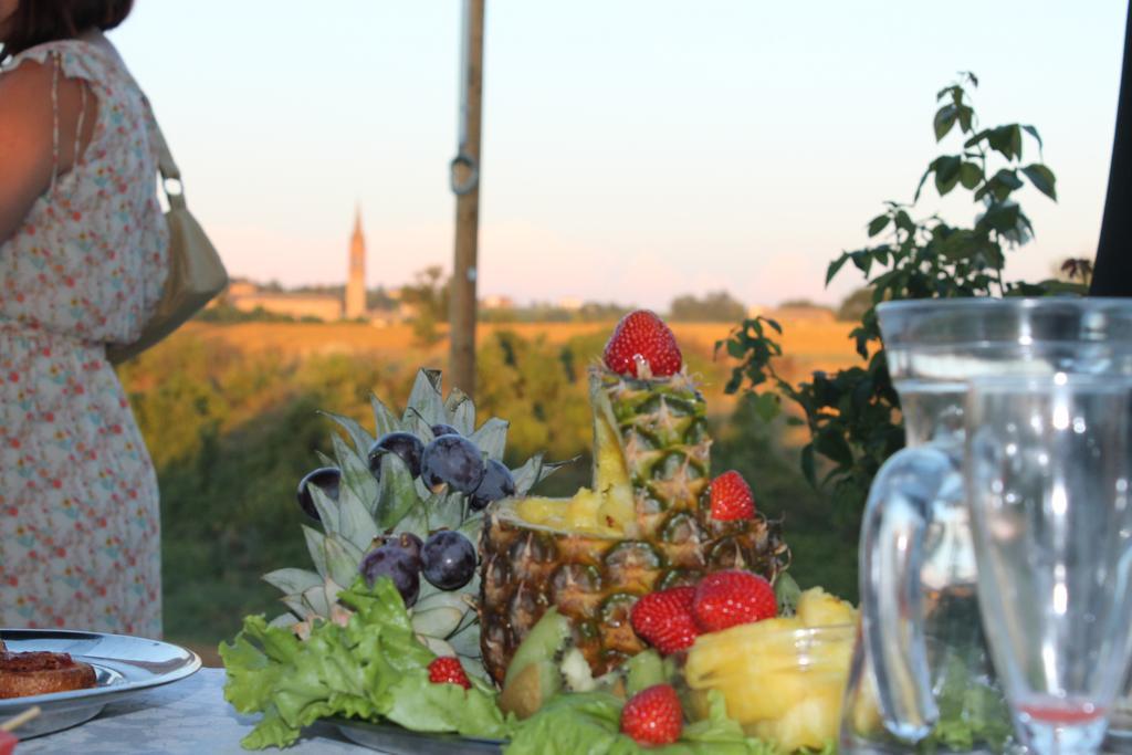 Agriturismo Le Casette Castelvetro di Modena Luaran gambar